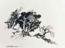 IMG_8235.jpeg