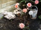 IMG_20240621_122920.jpg
