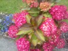 IMG_20240627_144836.jpg