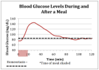 blood glucose graph eating.png