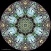 IMG_8556.jpeg