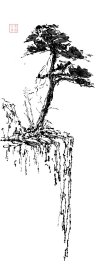 IMG_6764.jpeg