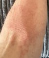 IMG_3551.jpeg