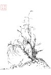 IMG_6855.jpeg