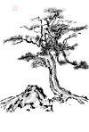 IMG_6859.jpeg