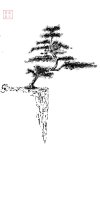 IMG_6866.jpeg