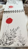 IMG_8954.jpeg