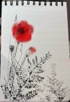 IMG_8960.jpeg