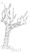 IMG_6904.jpeg