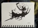 IMG_9032.jpeg