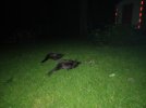 20240801_000532.jpg