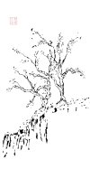 IMG_6932.jpeg