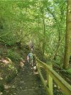 IMG_6945.jpeg
