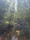 IMG_6946.jpeg