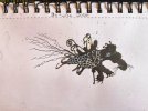 IMG_9057.jpeg