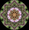 IMG_9090.jpeg