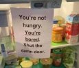 6645dbd58cd35_funny-absurd-signs-photos.jpeg