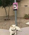 6645dbb5dff01_funny-absurd-signs-photos.jpeg
