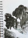 IMG_9149.jpeg