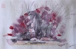 IMG_7061.jpeg