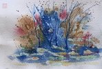 IMG_7063.jpeg