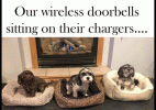 C6E5F693949846F09B723C8AE6650B23.gif