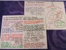 IMG_9211.jpeg