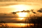 DSC_0831_01z.jpg