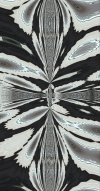 IMG_9333.jpeg