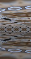IMG_9381.jpeg