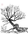 IMG_7172.jpeg