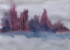 IMG_7178.jpeg