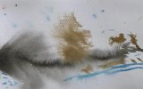 IMG_7224.jpeg