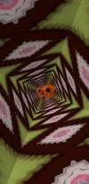 IMG_0394.jpeg