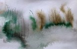 IMG_7230.jpeg