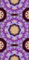 IMG_0441.jpeg