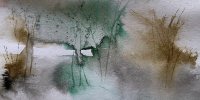 IMG_7247.jpeg