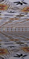 IMG_0541.jpeg