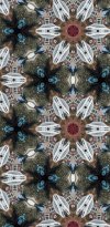IMG_0556.jpeg