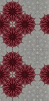 IMG_0553.jpeg