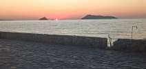 IMG_20240926_190504.jpg
