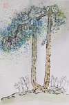 IMG_7323.jpeg
