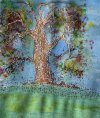 IMG_7352.jpeg