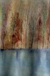 IMG_7357.jpeg