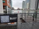 20241006_093556.jpg