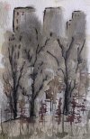 IMG_7375.jpeg