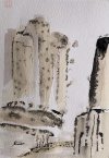 IMG_7393.jpeg