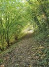 IMG_7417.jpeg