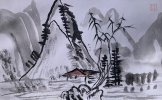 IMG_7529.jpeg