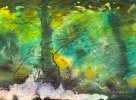 IMG_0235.jpeg